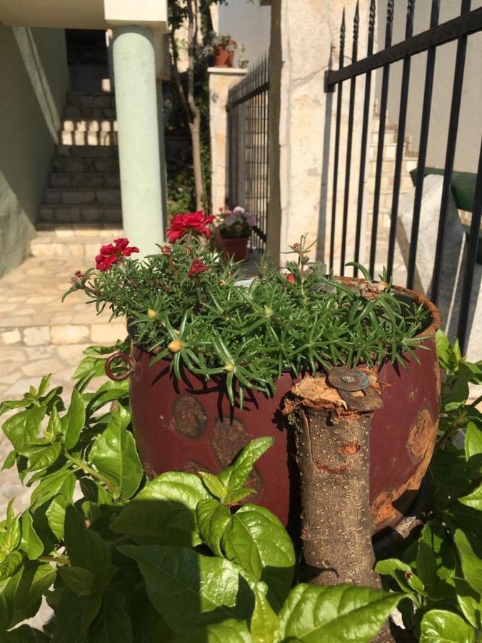 Majero Apartments يوتجيها المظهر الخارجي الصورة